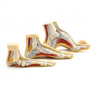 PACK de 3 Pies consulta